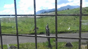 20191004105613(1)