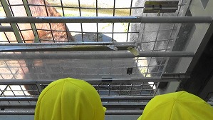 20191004110134(1)