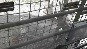 20191004111136(1)