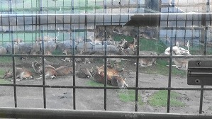 20191004111603(1)