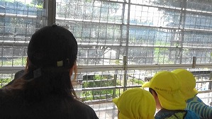 20191004112427(1)