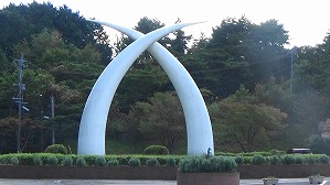 20191004114556(1)