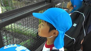 20191004135239(2)