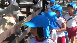 20191004142413(1)