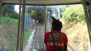 20191010103219(1)
