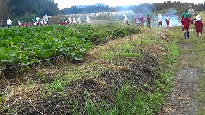 20191025102729(1)