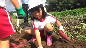 20191025104319(2)