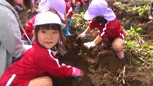 20191025104328(1)