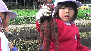 20191025104709(1)