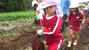 20191025105915(1)