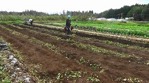 20191025111555(1)