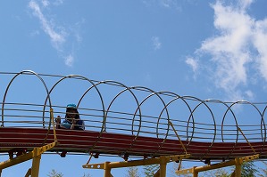 IMG_1734