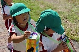 IMG_2110