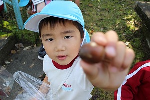 IMG_2832