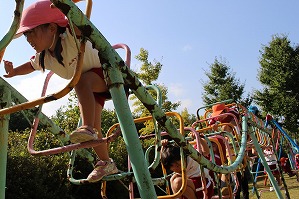 IMG_2878