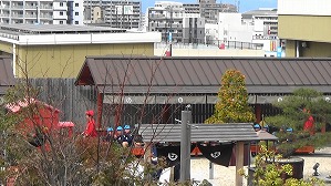 20191107112600(1)