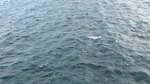20191114105011(1)