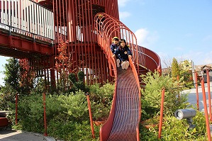 IMG_3486