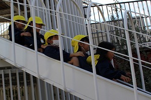 IMG_3491