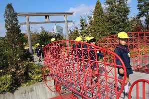 IMG_3506