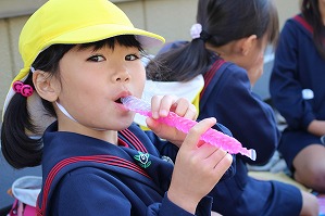 IMG_3534