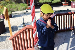 IMG_3548