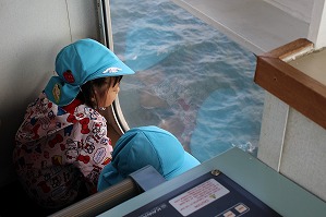 IMG_3844