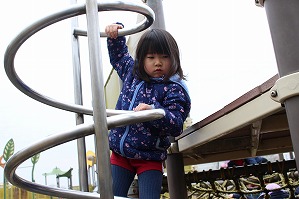 IMG_6887