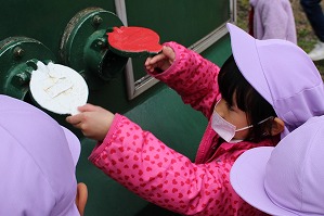 IMG_6912
