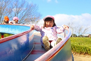 IMG_7952