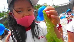 20160513003758(1)