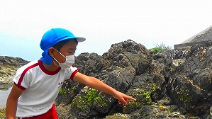 20160513004136(3)