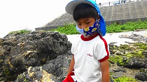20160513004329(3)