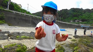 20160513004539(4)