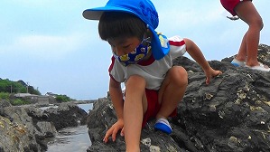 20160513005217(3)