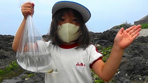 20160513010819(3)