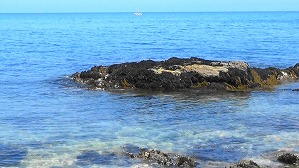 20160514002628(1)