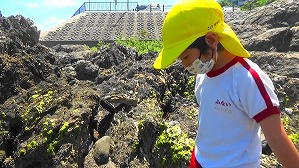 20160514003247(2)