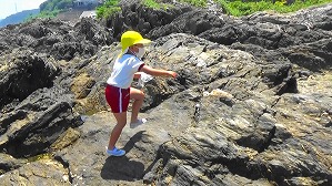 20160514003349(1)