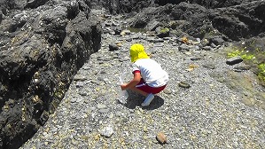 20160514003443(1)