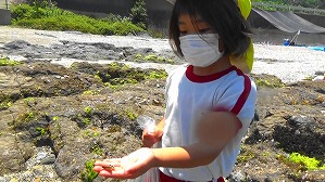20160514010339(3)