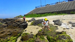 20160514010912(1)