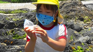 20160514011515(1)