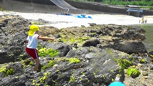20160514012056(1)