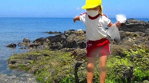 20160514012120(2)