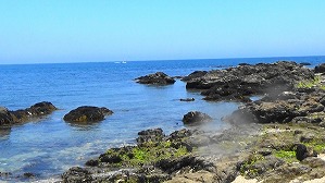 20160514012619(1)