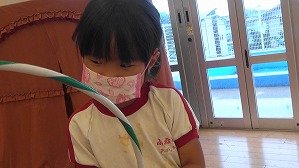 20160516023300(1)
