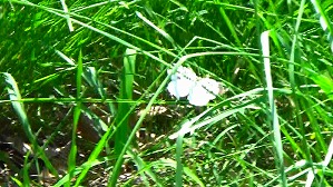20160520233249(3)