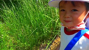 20160520235252(1)