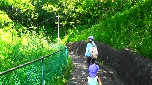 20160520235318(2)